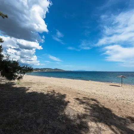 Mediterranee Beachfront Summer House By Luxlikehome * Kalyves Polygyrou