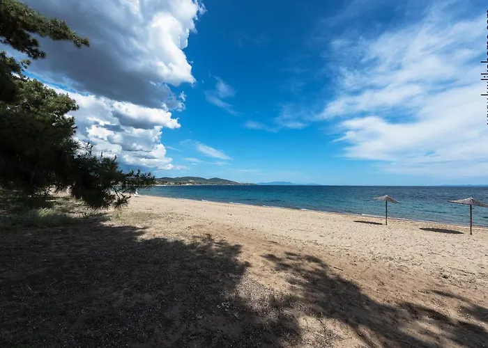 Mediterranee Beachfront Summer House By Luxlikehome * Kalyves Polygyrou